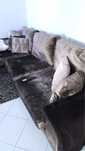 Sofa com Chaise long