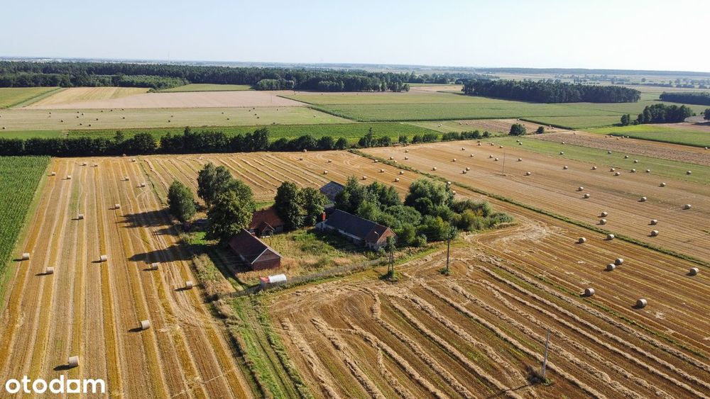 Siedlisko blisko lasu wraz z ziemią i działką budowlaną | Dom, stodoła
