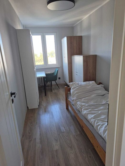 Pokoj jedboosobowy do wynajecia