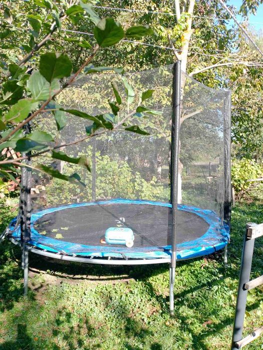 Дитячий садовий батут FunFit із захисною сіткою і сходами 252 см
