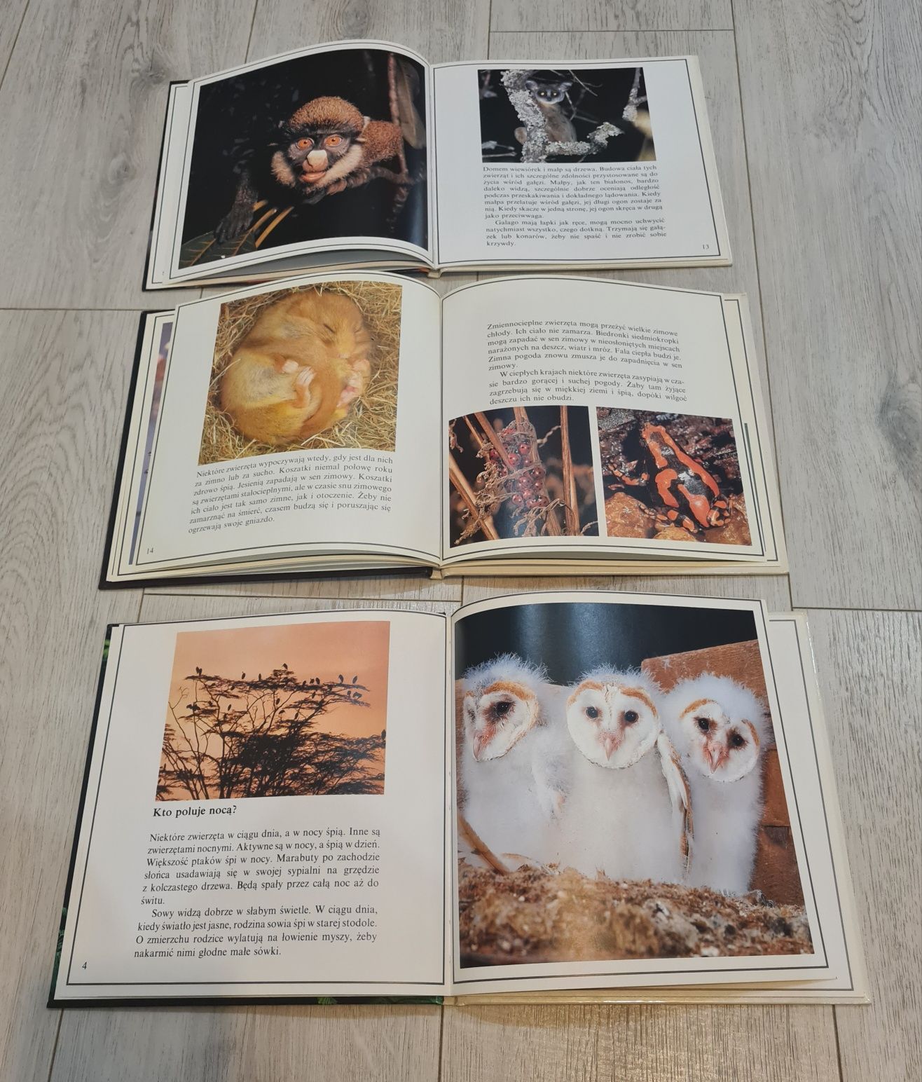 Książka zestaw Zwierzęta