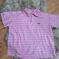 Lacoste koszulka polo 164 cm S XS różowa w paski posiada 2 wady brak g