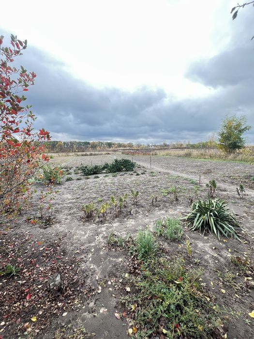 Продаж дачного будинку у Новій Водолазі