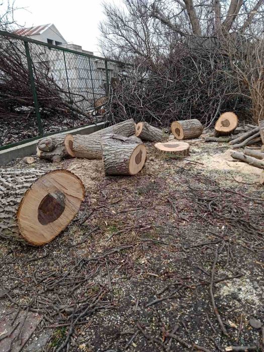 Дробилка веток. Измельчитель веток. Корчевка пней. Спил деревьев.