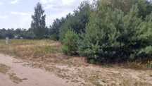 Działka rekreacyjna Mielinek 602 m2 nad jeziorem Szczytnowskim