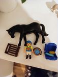 Klocki Playmobil figurki