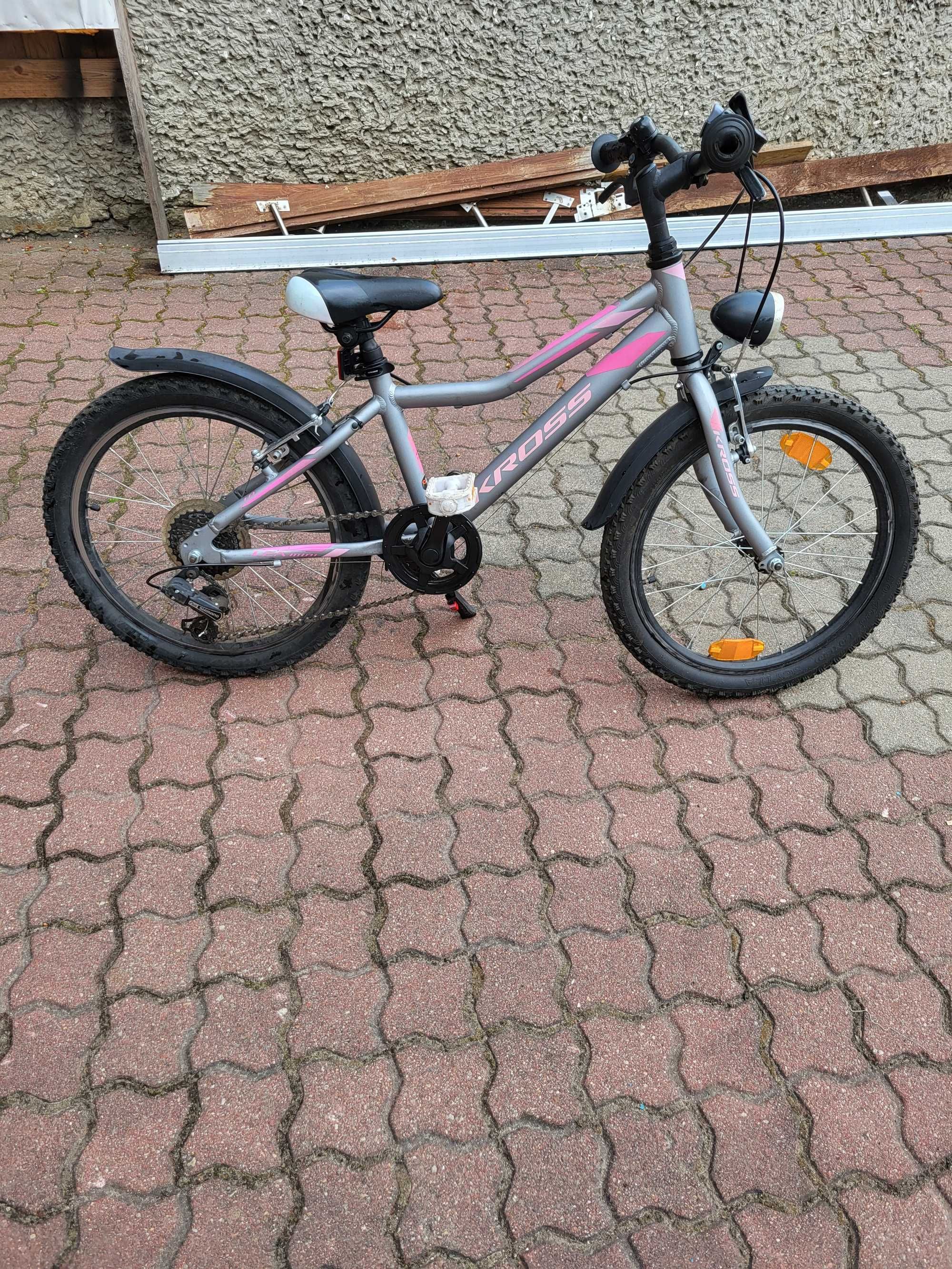 Rower Kross Lea Mini 1.0 srebrno-różowy mat