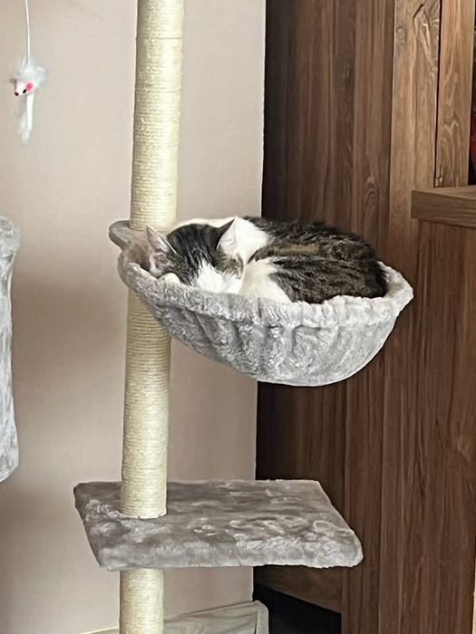 Czy możemy liczyć na cud?..