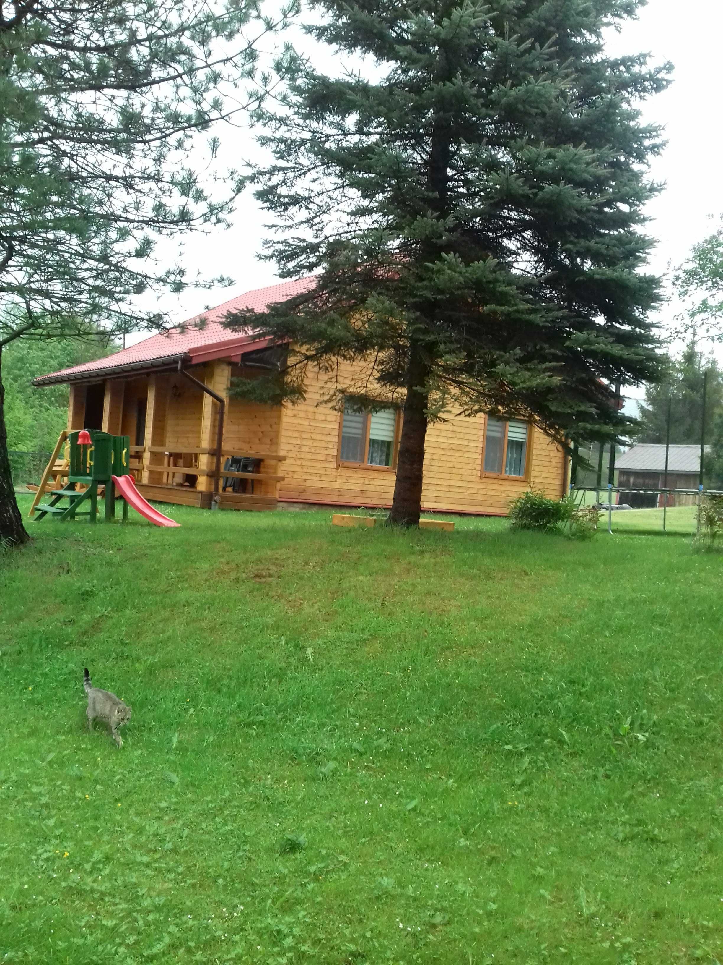 Noclegi Bieszczady "Łabudówka"
