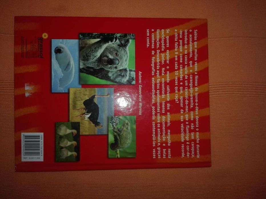 Ao encontro dos animais