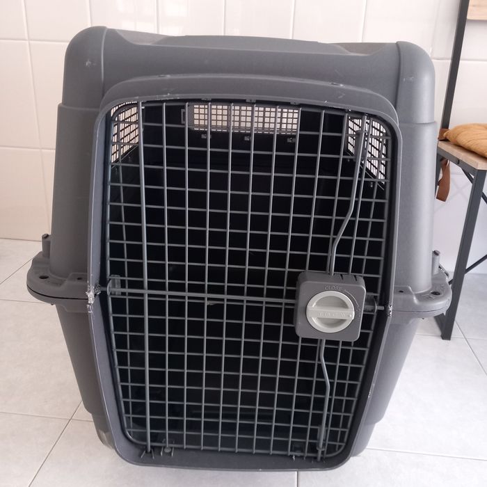 Transportadora tamanho 6