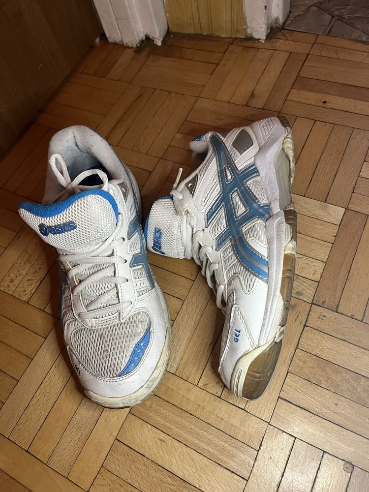 Buty do siatkówki Asics