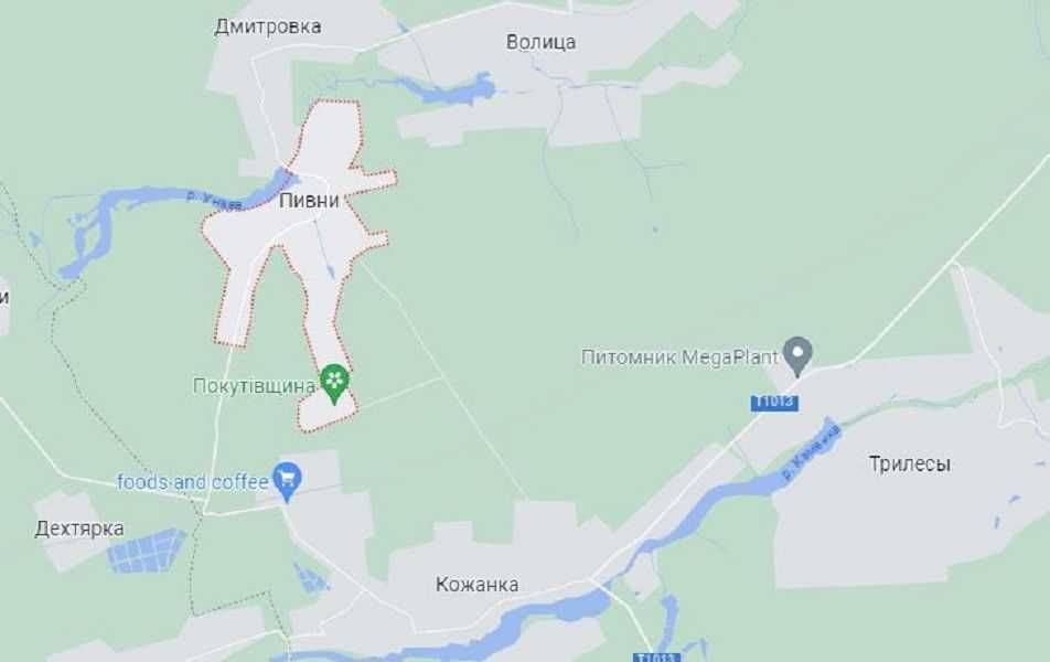 Земельна ділянка. Хата. Річка, ліс. Фастівський район
