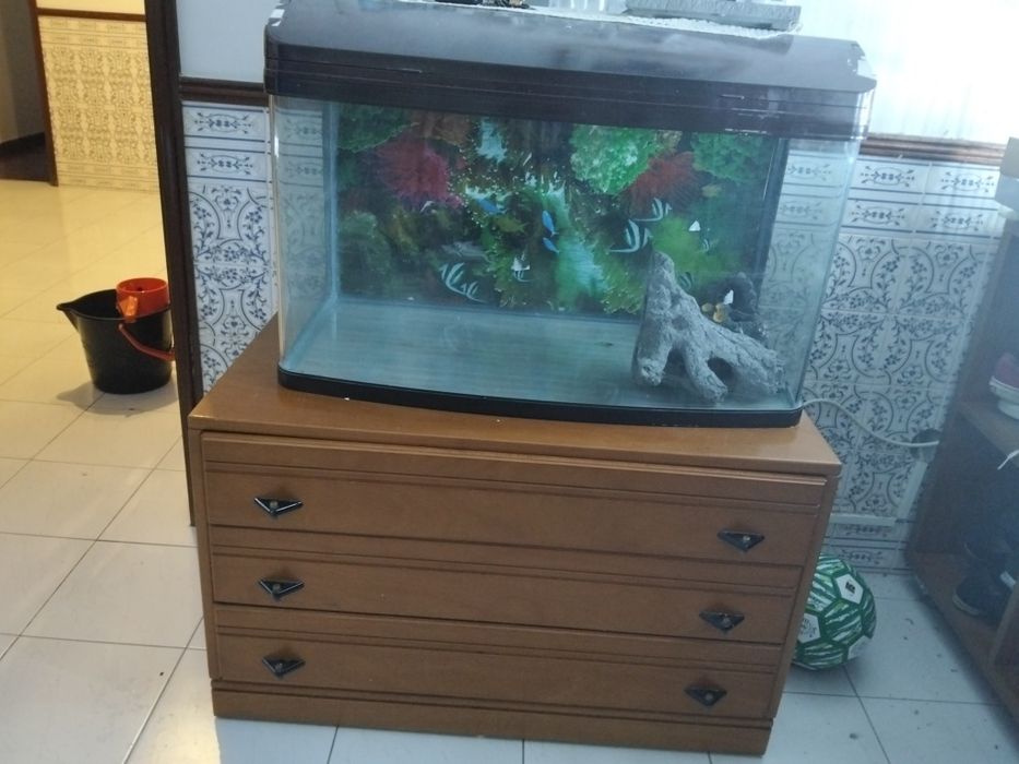 Aquário de peixes 100 litros