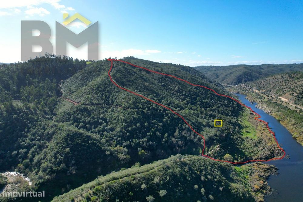 Terreno Rústico  Venda em Arez e Amieira do Tejo,Nisa