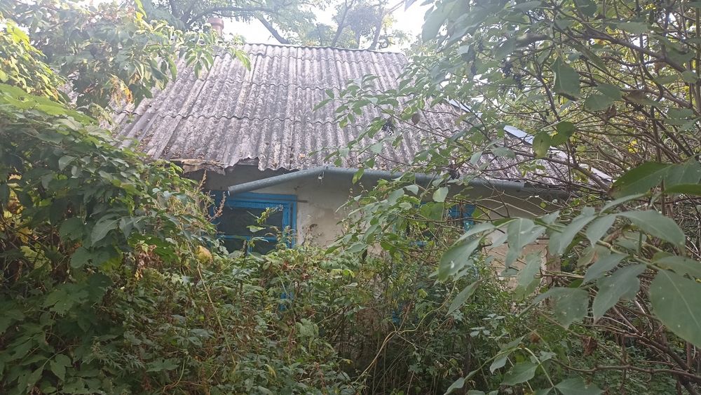 Земельна ділянка