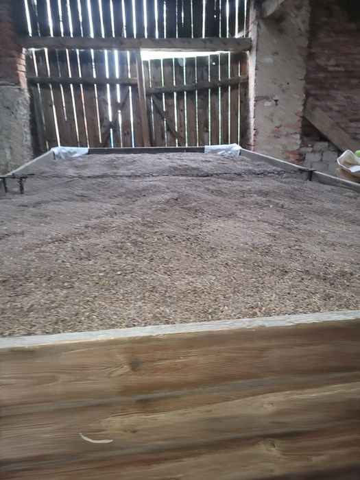 Sprzedam owies gniady pszenicę