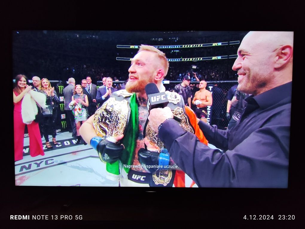 Gra UFC 3 na PS4 od EA Games napisy PL