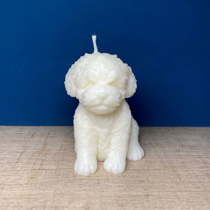 Vela Cão em Cera de Soja