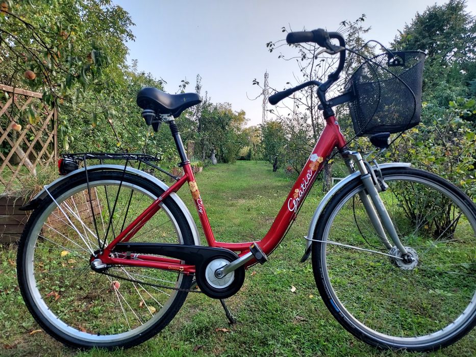 Rower piękna holenderka GRATIA 28