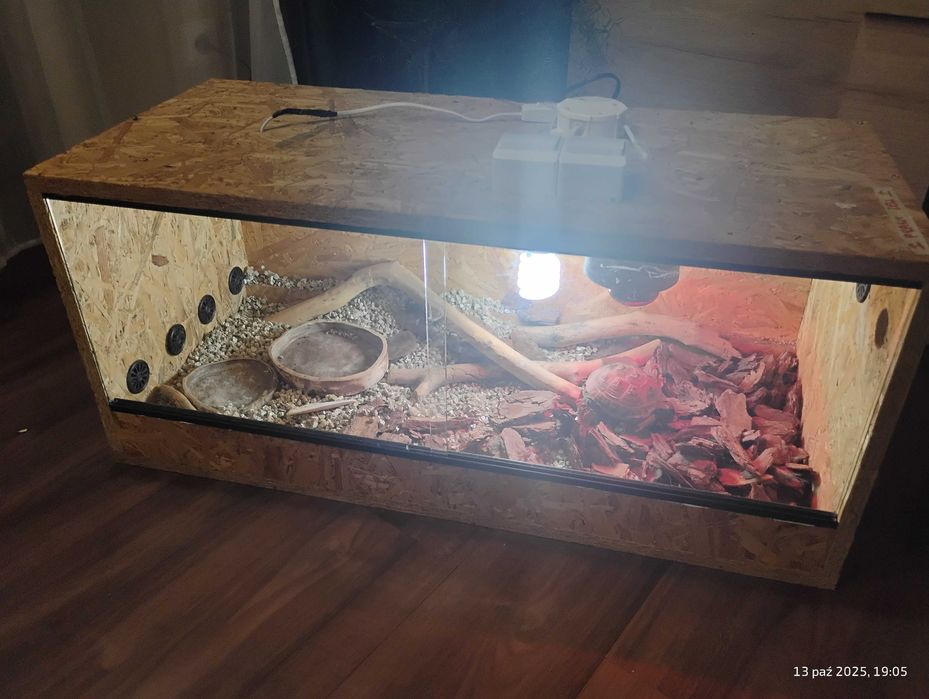 Sprzedam terrarium dla żółwia