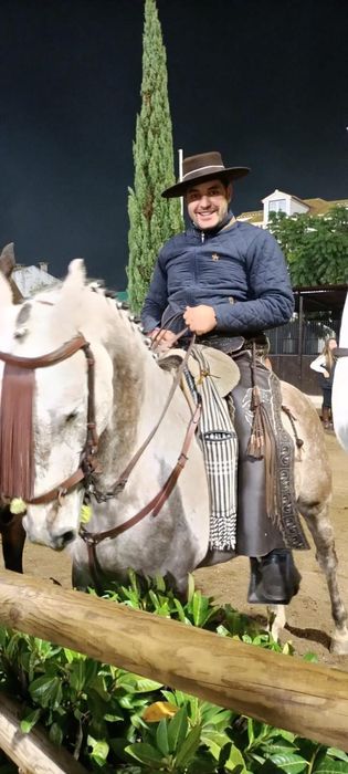 Para venda cavalo