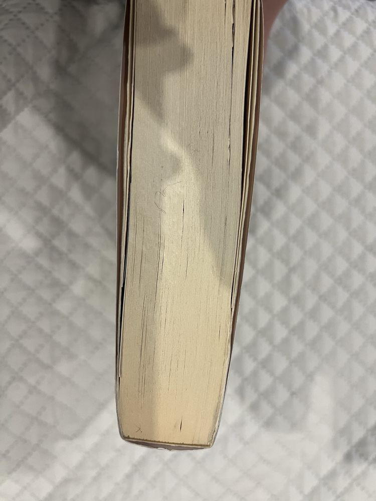 A rapariga que roubava livros