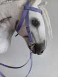 Oglowie westernowe hobby horse