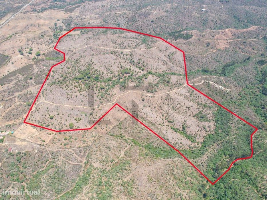 Terreno com PIP Aprovado com 55 Hectares e Ruínas para Venda em São...