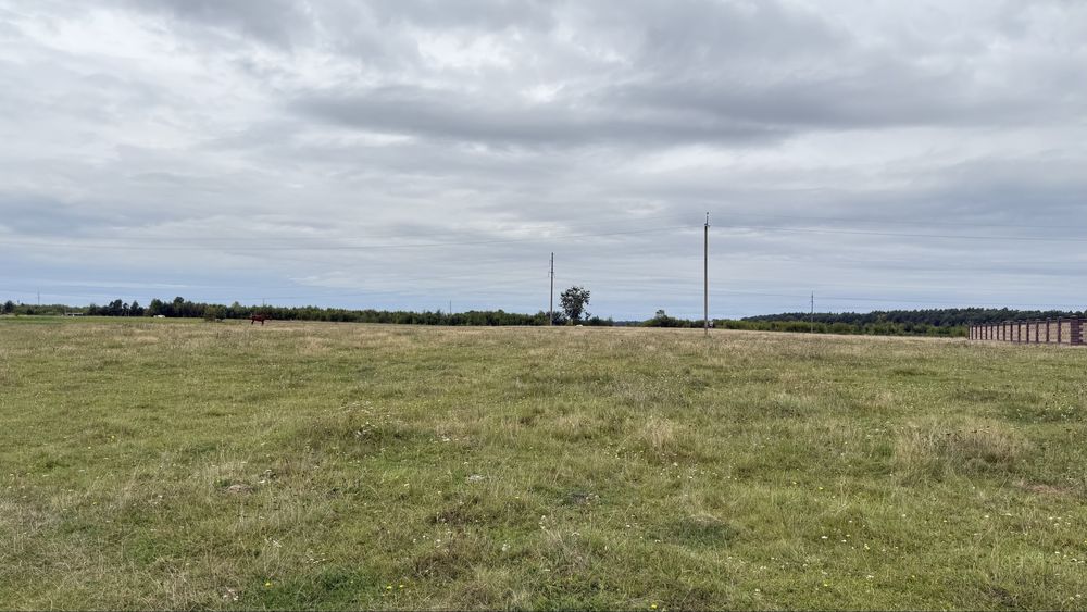 Продаж землі біля лісу та озера село Забороль