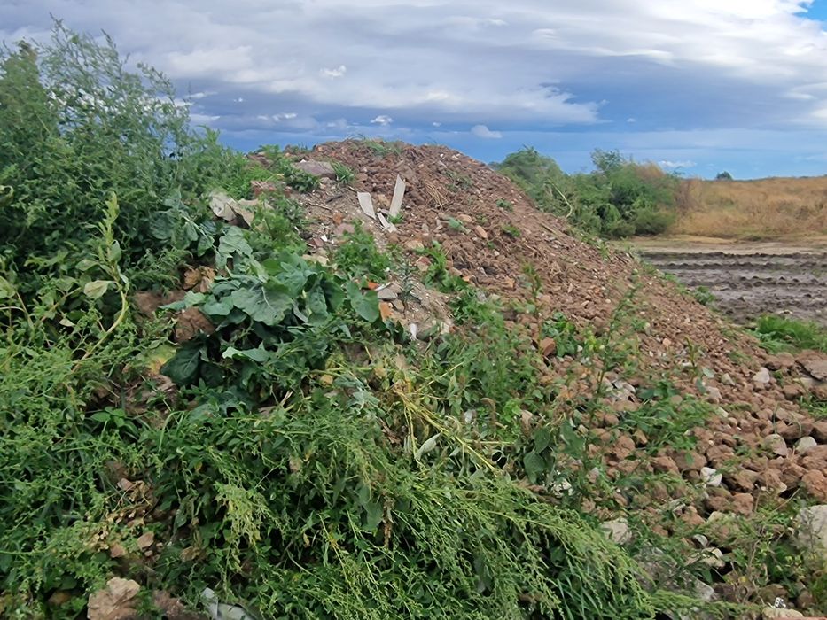 Ziemia na podniesienie terenu. Oddam za darmo