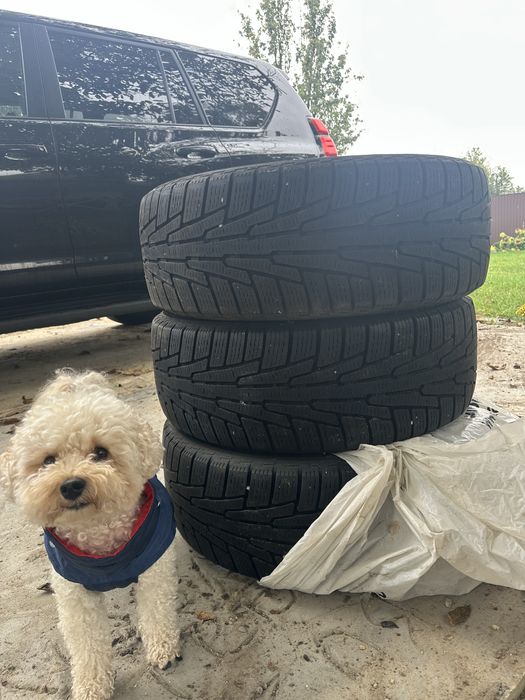 Nokian автошини радіус 235/55/R18