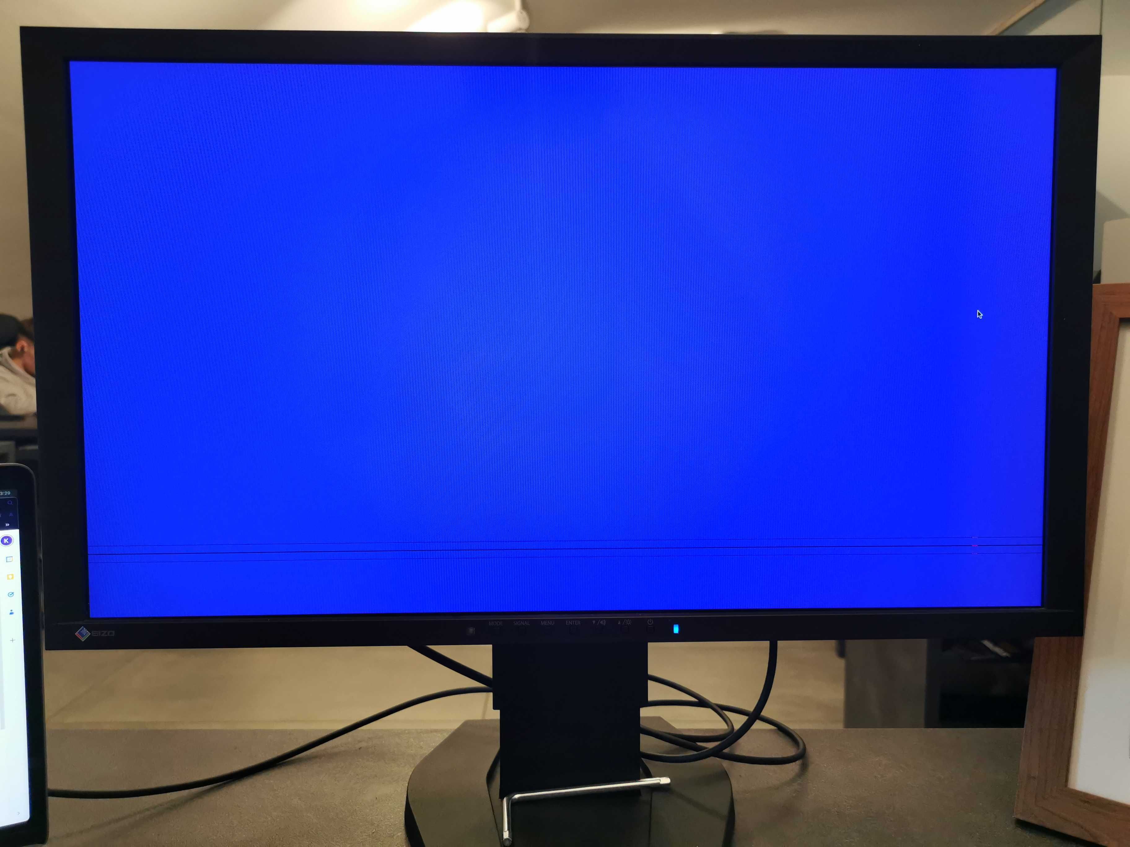 Monitor Gamingowy Eizo Foris FG2421PL 120Hz