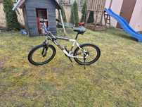 Rower Trek currara 26"