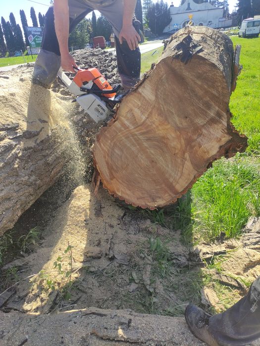 Stolik pień z topoli średnica okolo 100 cm na stoły pień stół ogordowy