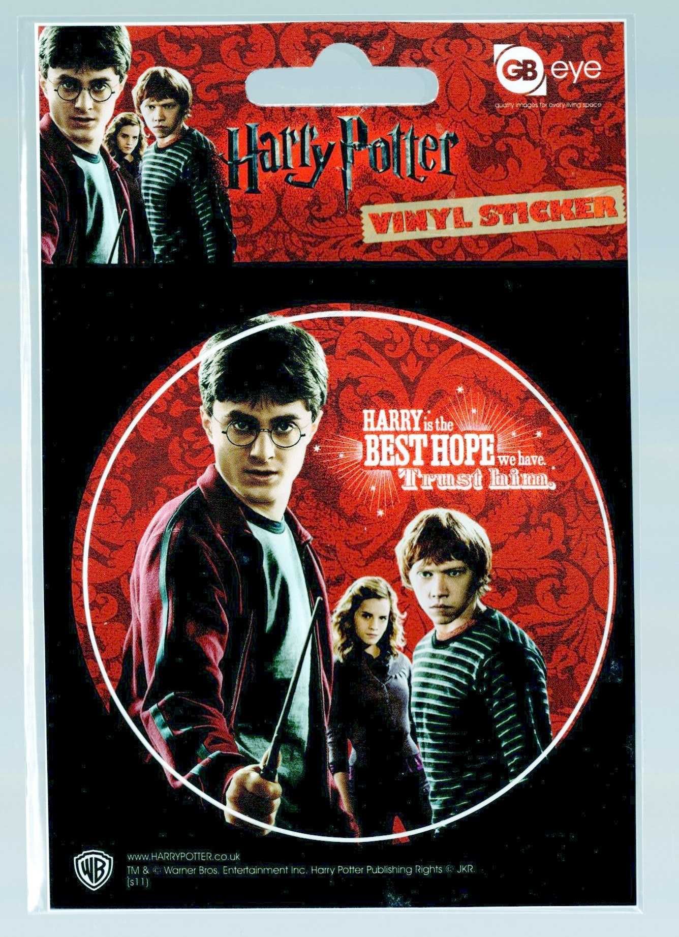 Harry Potter Ron I Hermiona - naklejka winylowa 9 cm