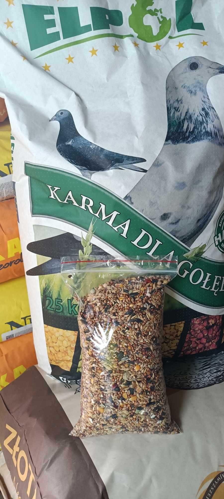 Karma dla gołębi całoroczna S