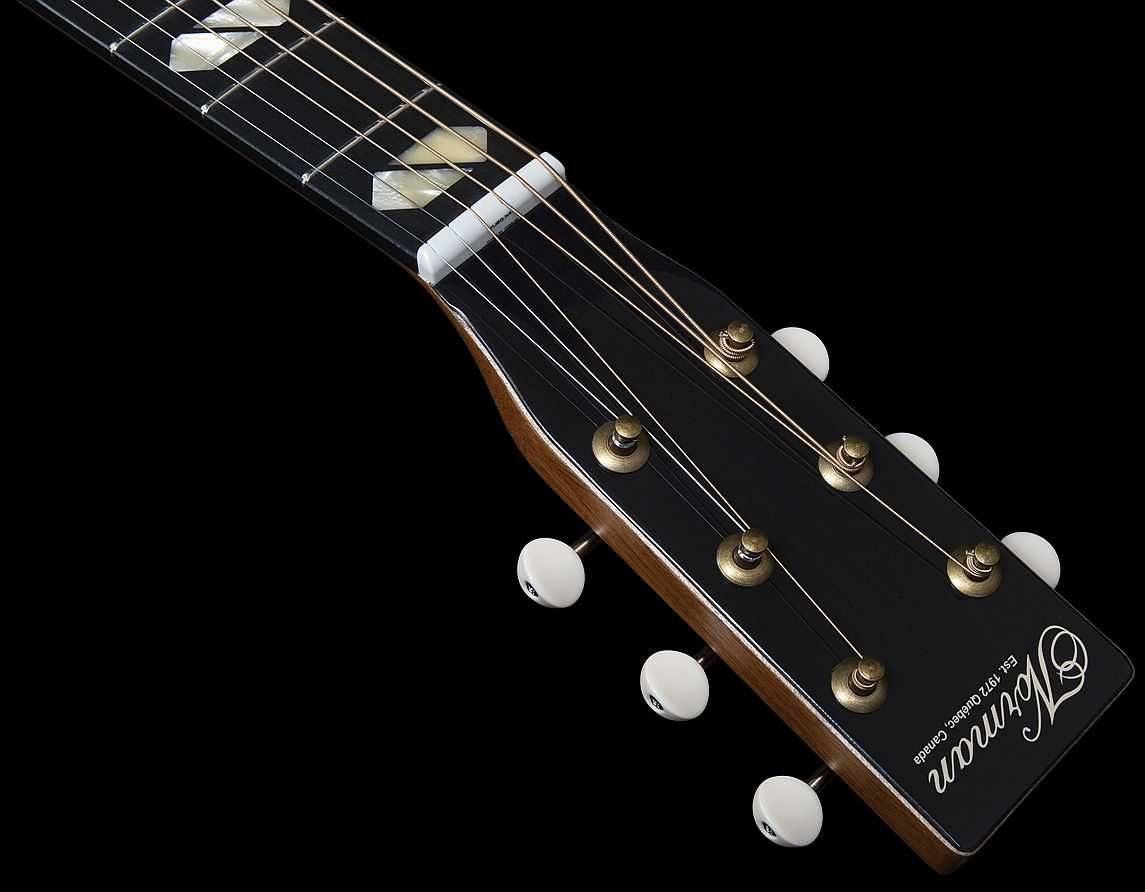 Nowa gitara  ST-40 NORMAN Solid Sitka SPRUCE+INEL GIG BAG