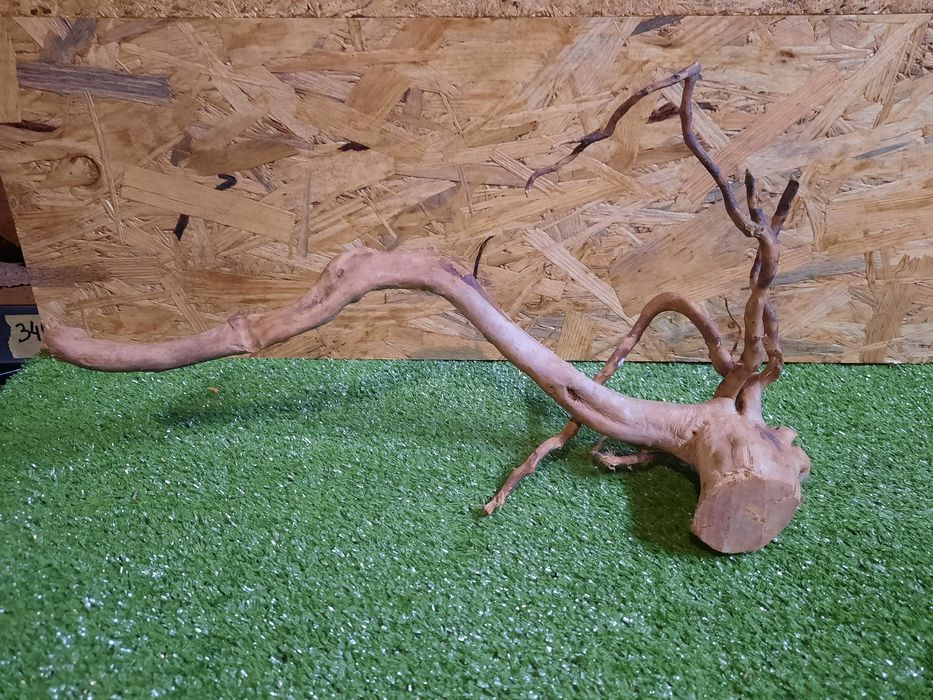 Korzeń do akwarium Red Moore Wood nr 1173 o wymiarach 41/15/23