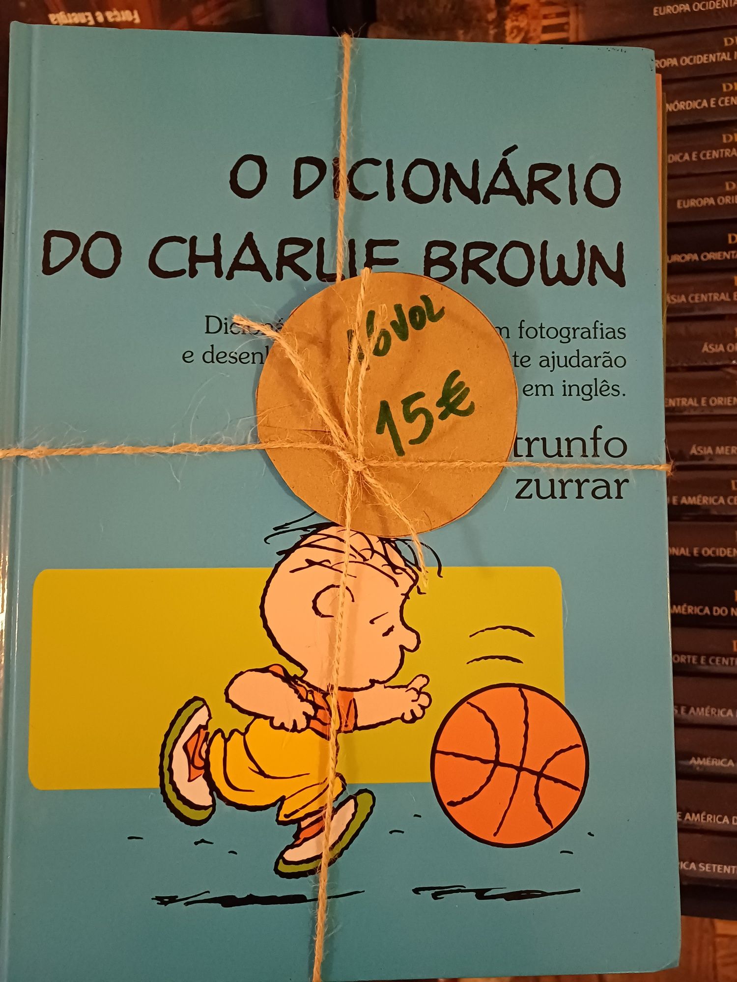 Livros O dicionário de Charlie Brown 16 volumes