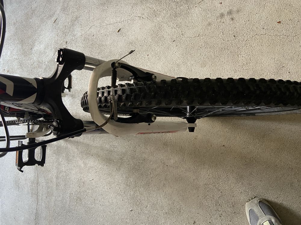 Scott scale JR roda 24