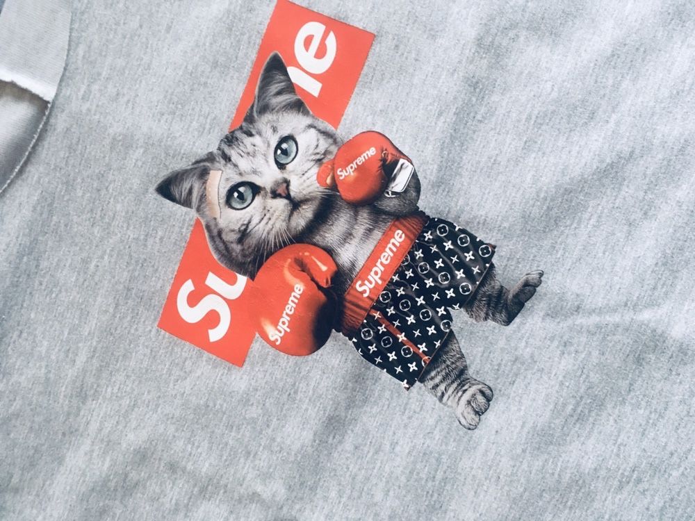Oversizowa bluzka bluza szara aplikacja kotek rękaw 3/4 PAUZZA
