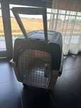 Transportadora de animais