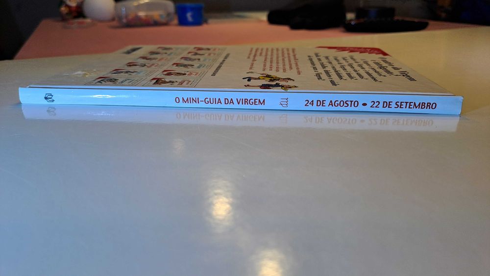 livro - o mini-guia da Virgem