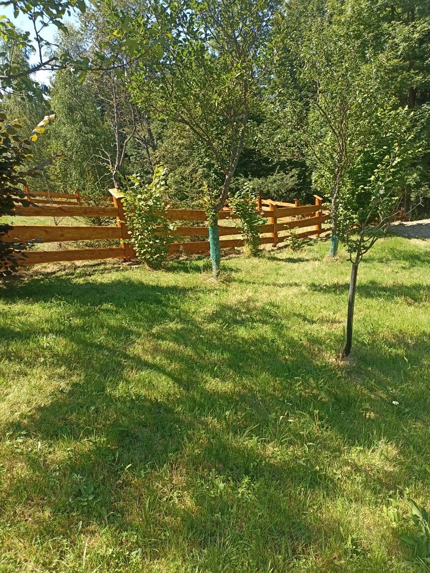 Ogrodzenie drewniane ranczo
