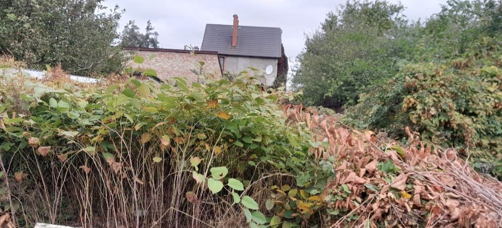 Полтава. Продається частина буд, з окремим двором по вул. Г.Сагайдачно