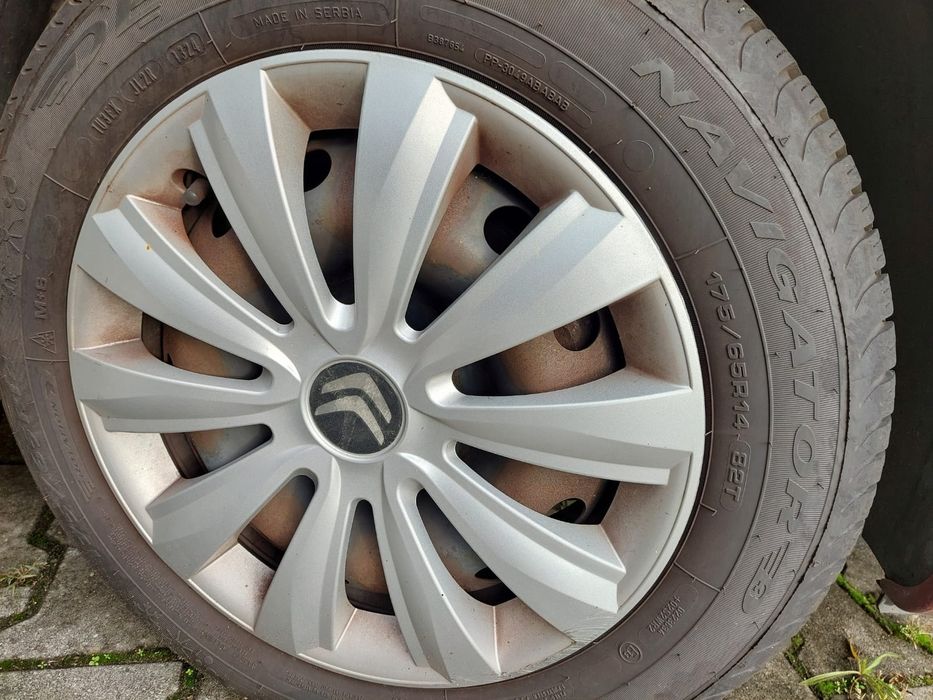Opony wielosezonowe dębica navigator 3 z 2024 roku