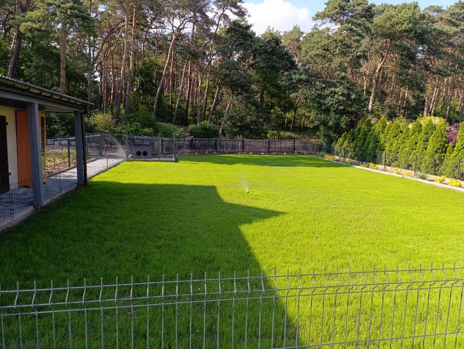 Ogród od A do Z Nawodnienie