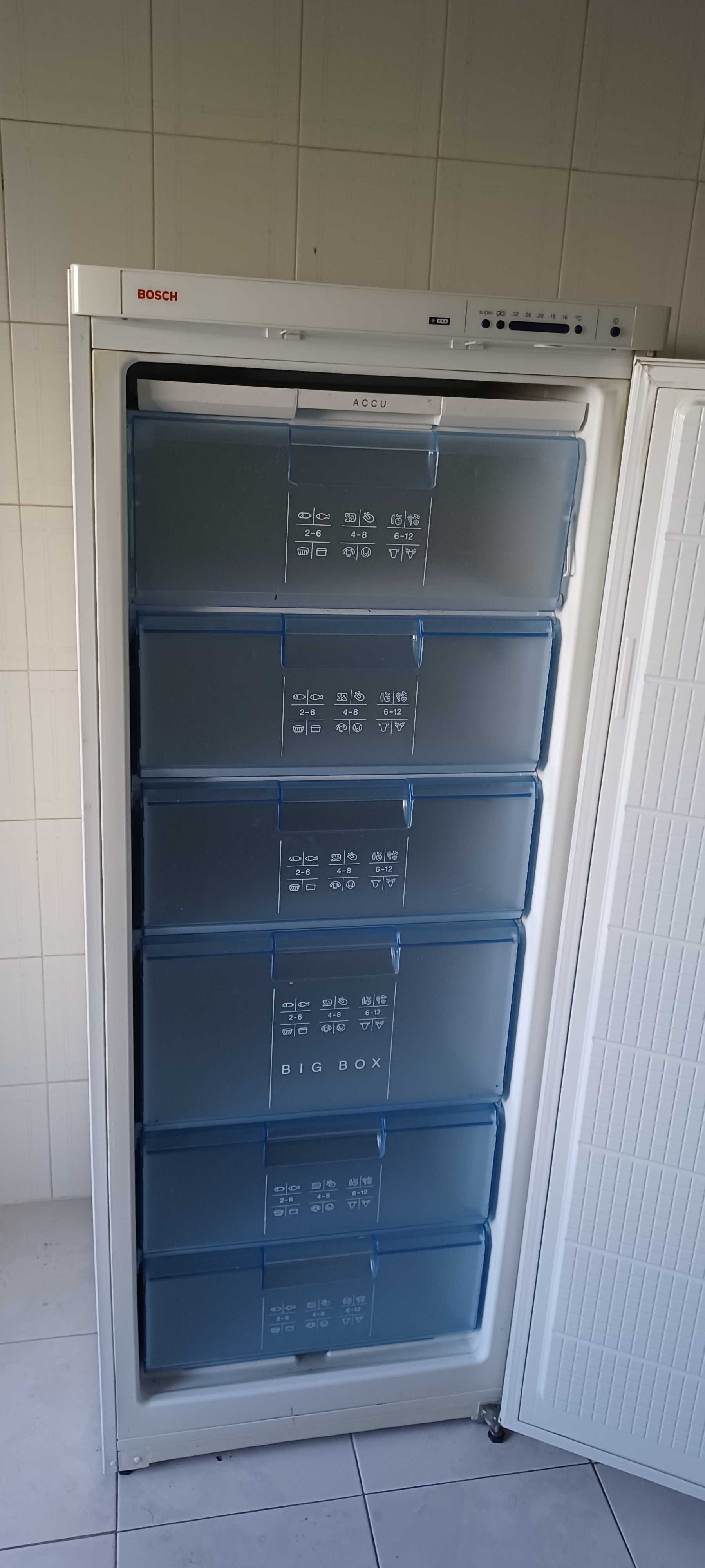 Arca vertical BOSCH em óptimo estado