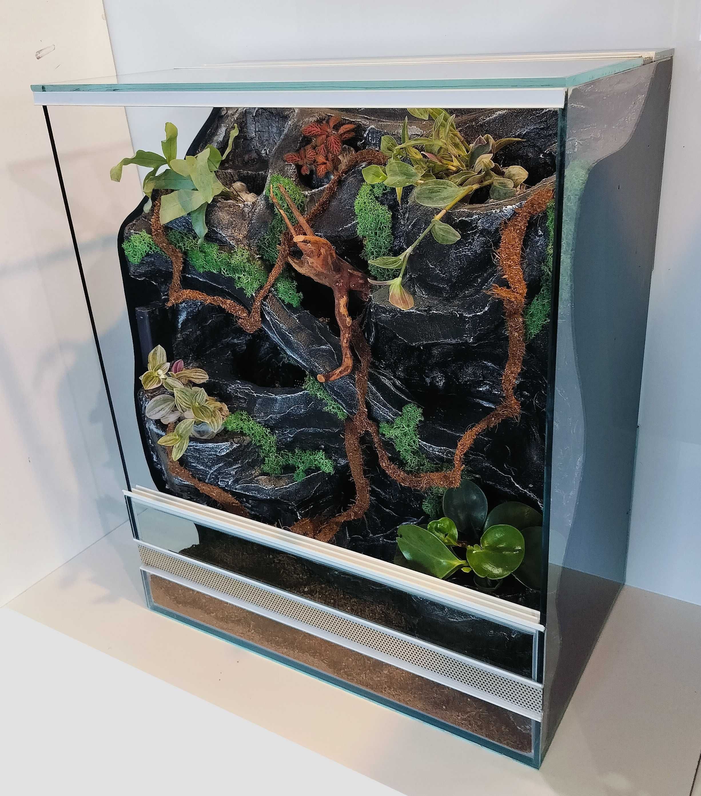 Terrarium dla gekona orzęsionego z pełnym wyposażeniem, AquaWaves
